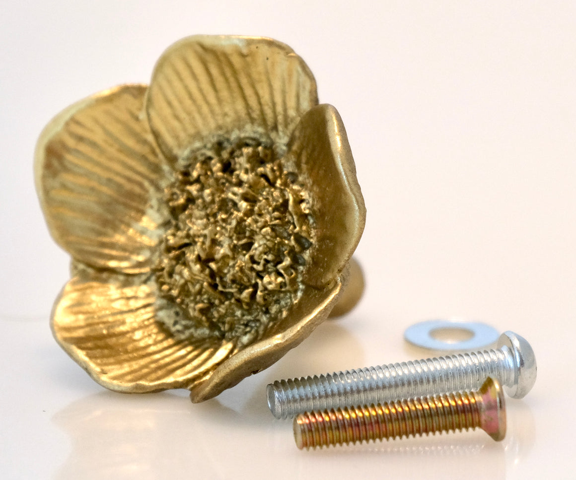 Flower Knob - Anemone Flower Gold Finish