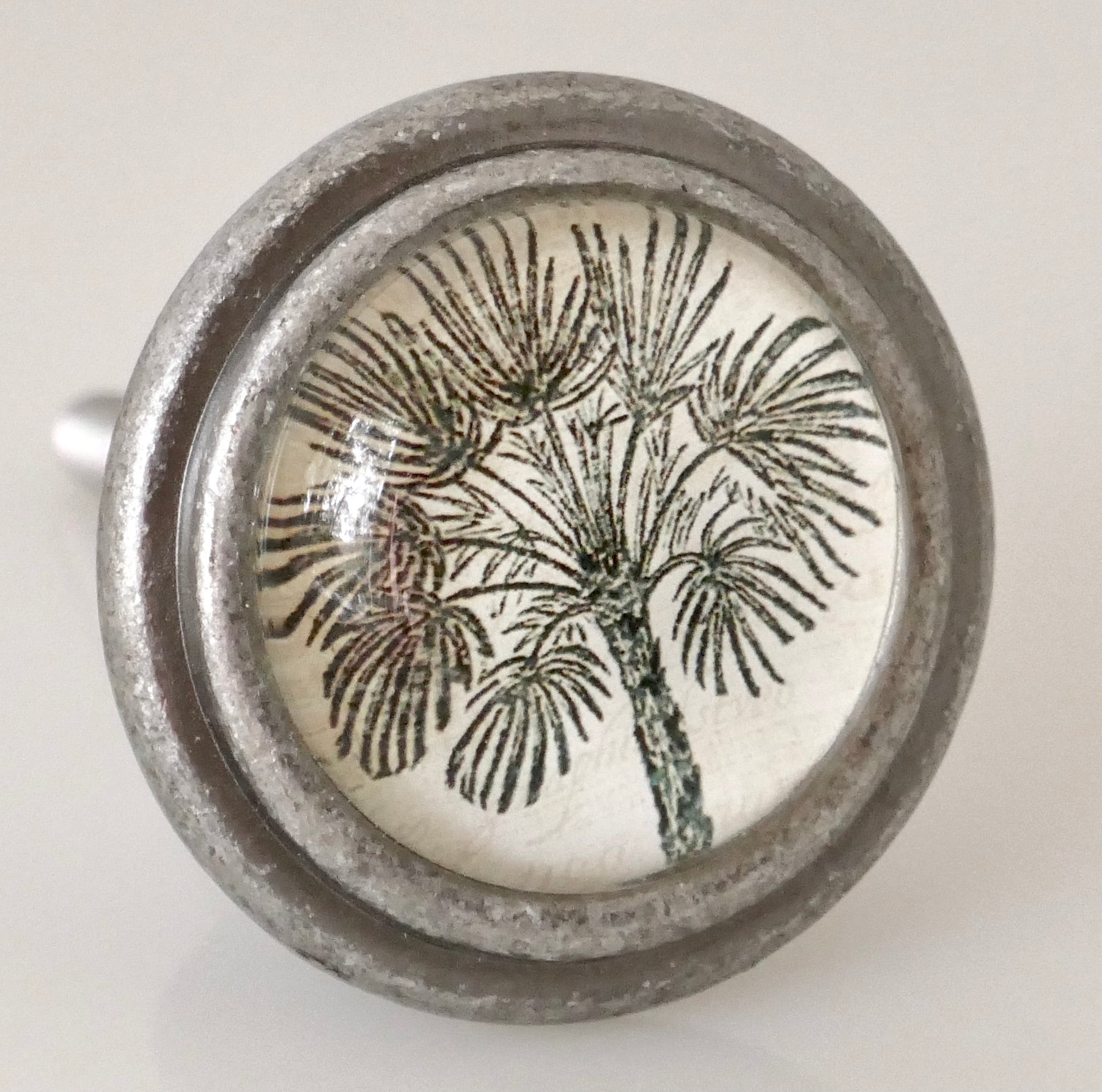 Burnished Silver Knob - Palm Tree