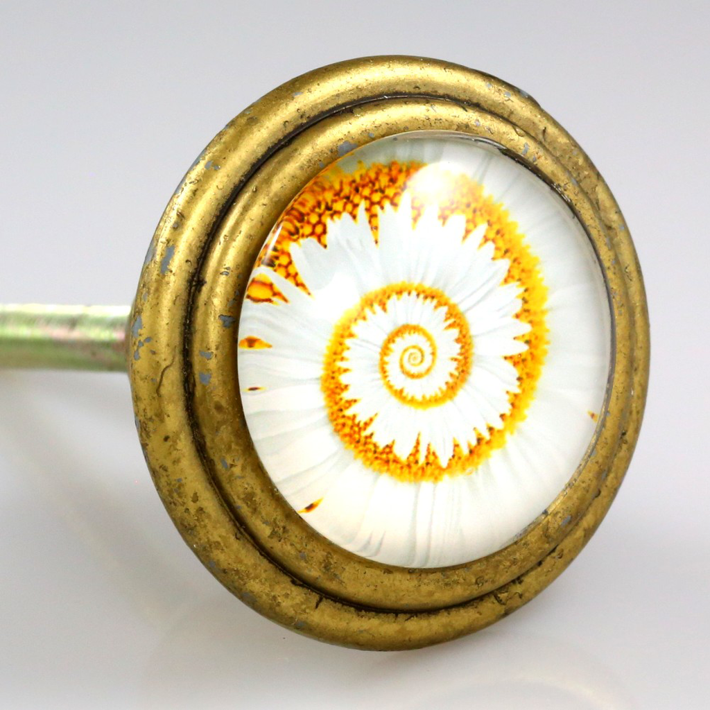 Orange and white nautilus shell artwork under glass inlay set in solid brass knob