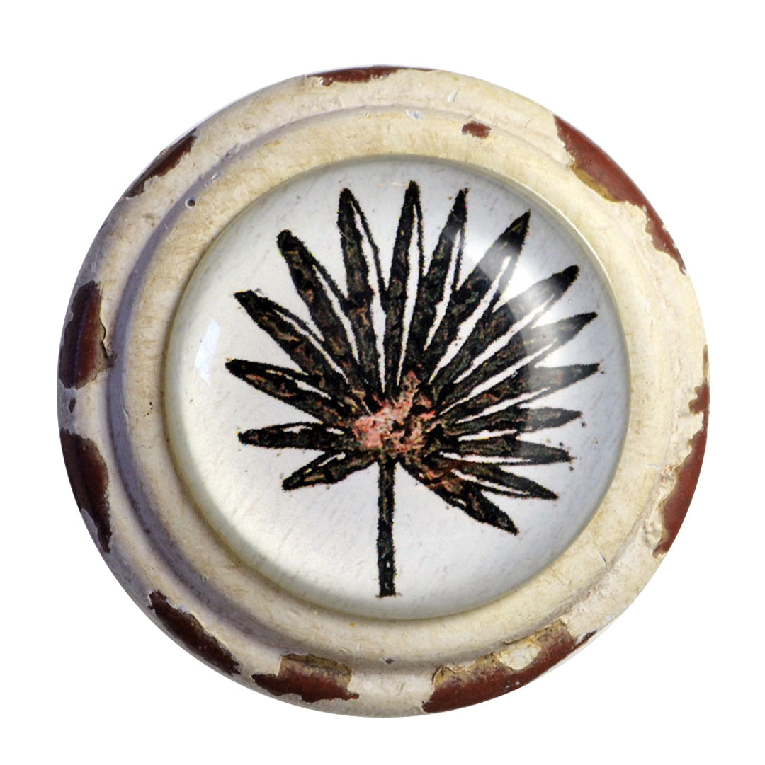 Retro Whitewashed Dark Palm Leaf Knobs