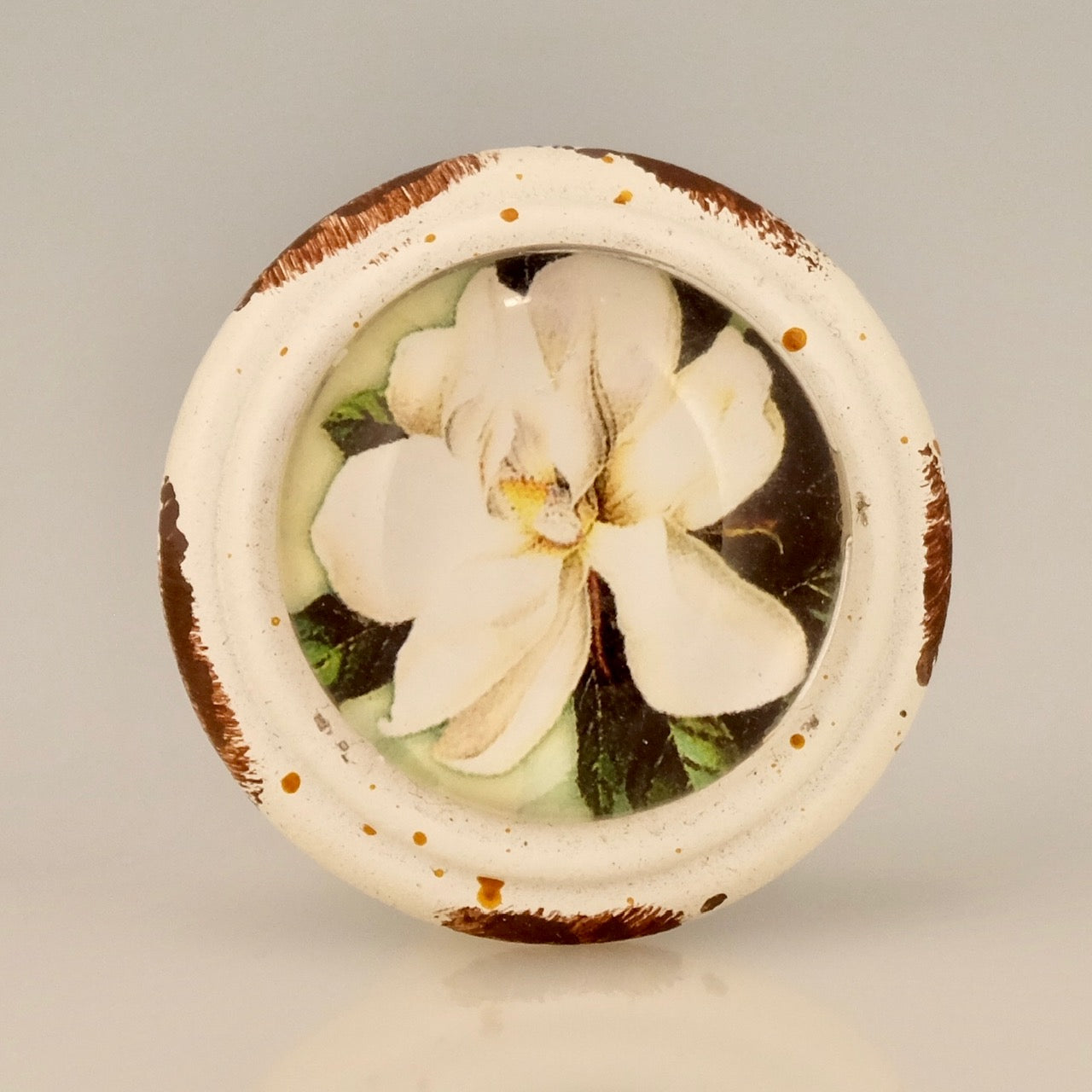 Charleston Magnolia Flower Knob