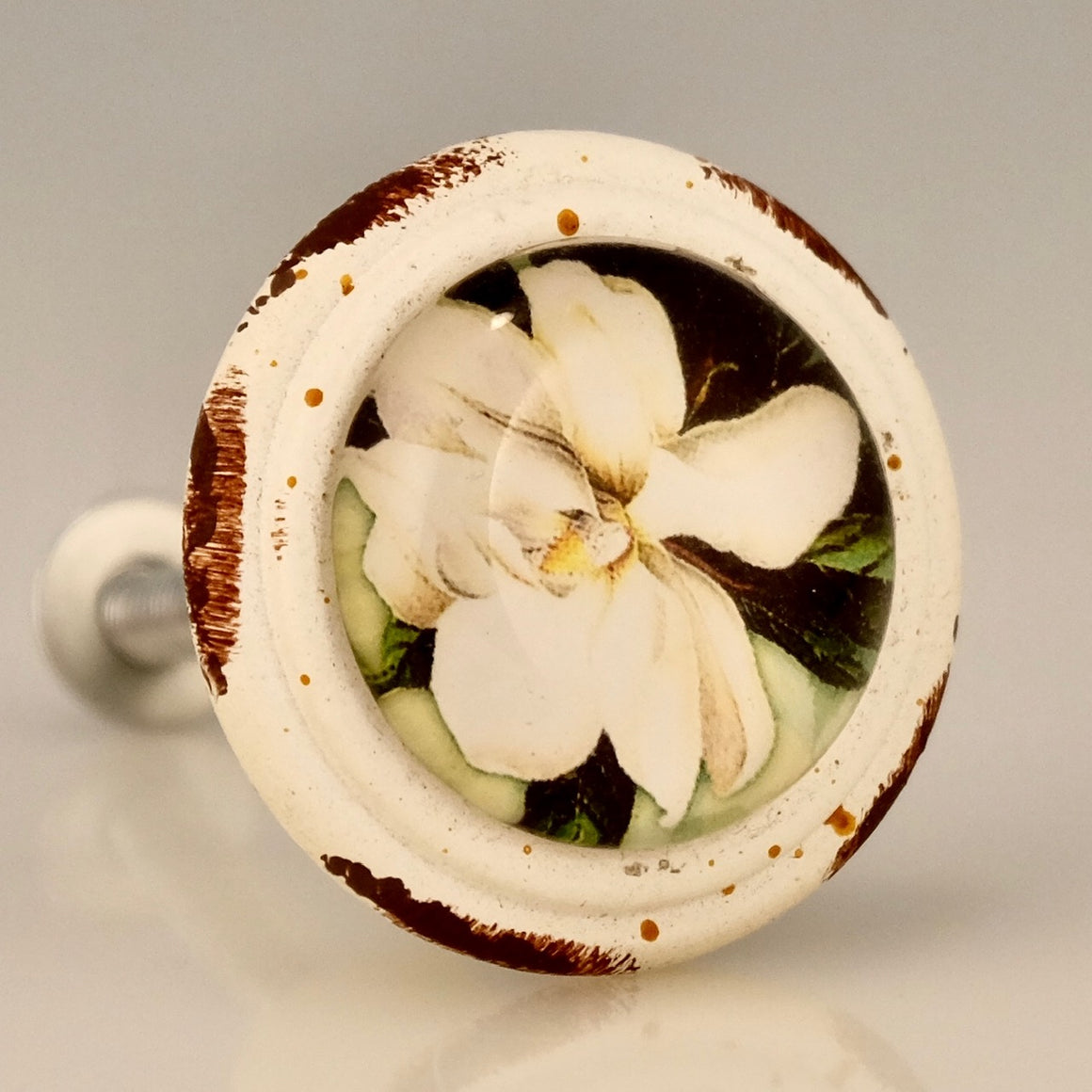 Charleston Magnolia Flower Knob
