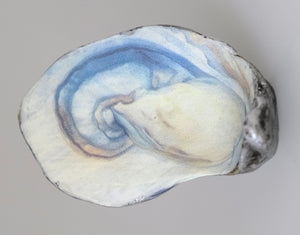 Oyster Knob - Blue and White