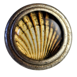 Scallop Shell Art Knob - Brushed pewter knob