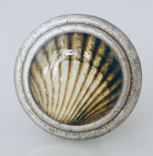 Scallop Shell Art Knob - Brushed pewter knob