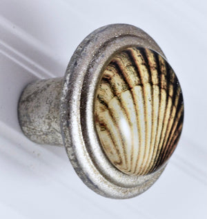 Scallop Shell Art Knob - Brushed pewter knob