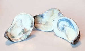 Oyster Knob - Blue and White