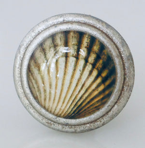 Scallop Shell Art Knob - handsome brushed silver knob