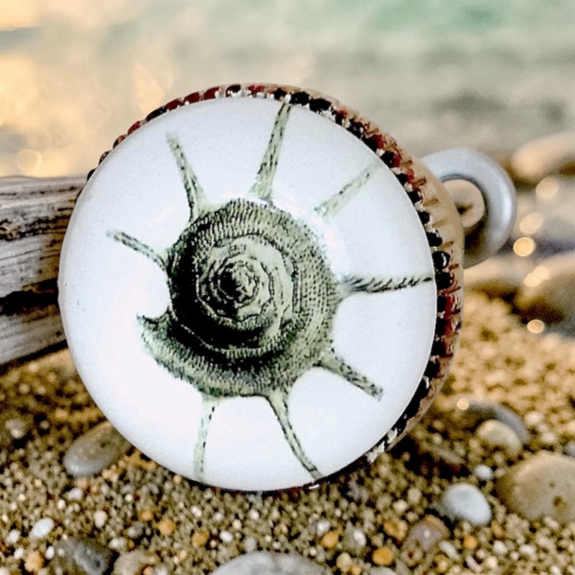 Retro Whitewashed Metal Knob – Spiny Conch