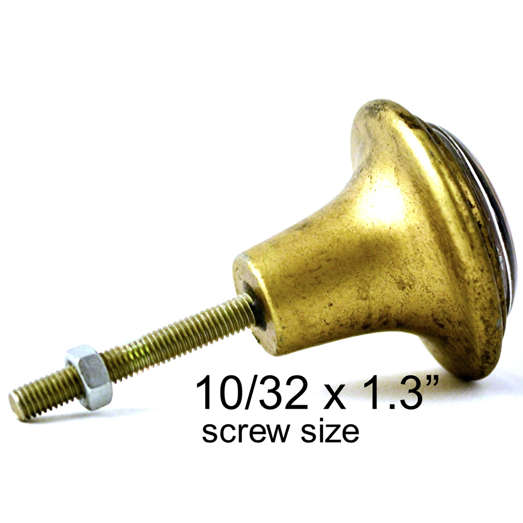 Signature Brass Knob Black and Orange Nautilus Shell Charleston