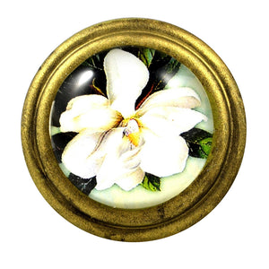 round Signature Brass Knob - Magnolia