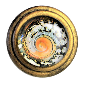 Signature Brass Knob - Nautilus Swirl