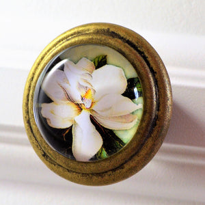 round Signature Brass Knob - Magnolia