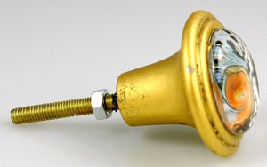 Signature Brass Knob - Nautilus Swirl