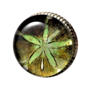 Retro Whitewashed Metal Knob – Green Starfish