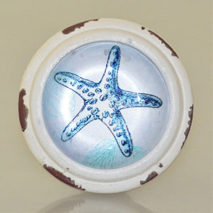 Starfish Knob - Blue and White