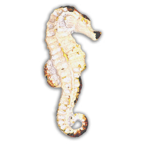 Seahorse Knob -Whitewashed